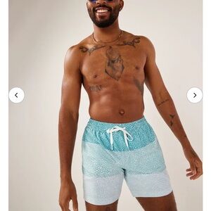 Chubbies The Whale Sharks Swim Trunks